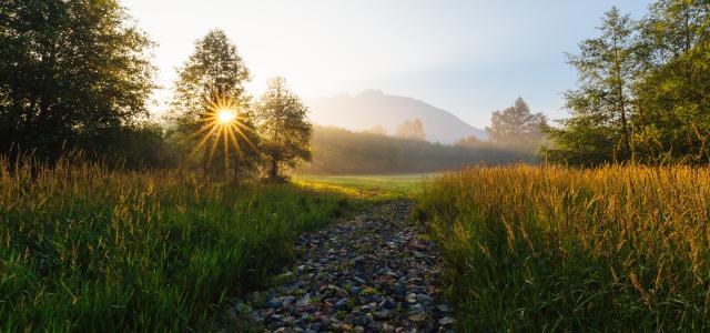 Retirement Calculator Are You On Track To Reach Your Goals Copper Financial Group